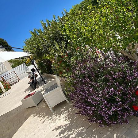 Lagarolina Del Conero B&B Сироло Екстериор снимка